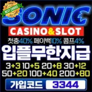 10 소닉